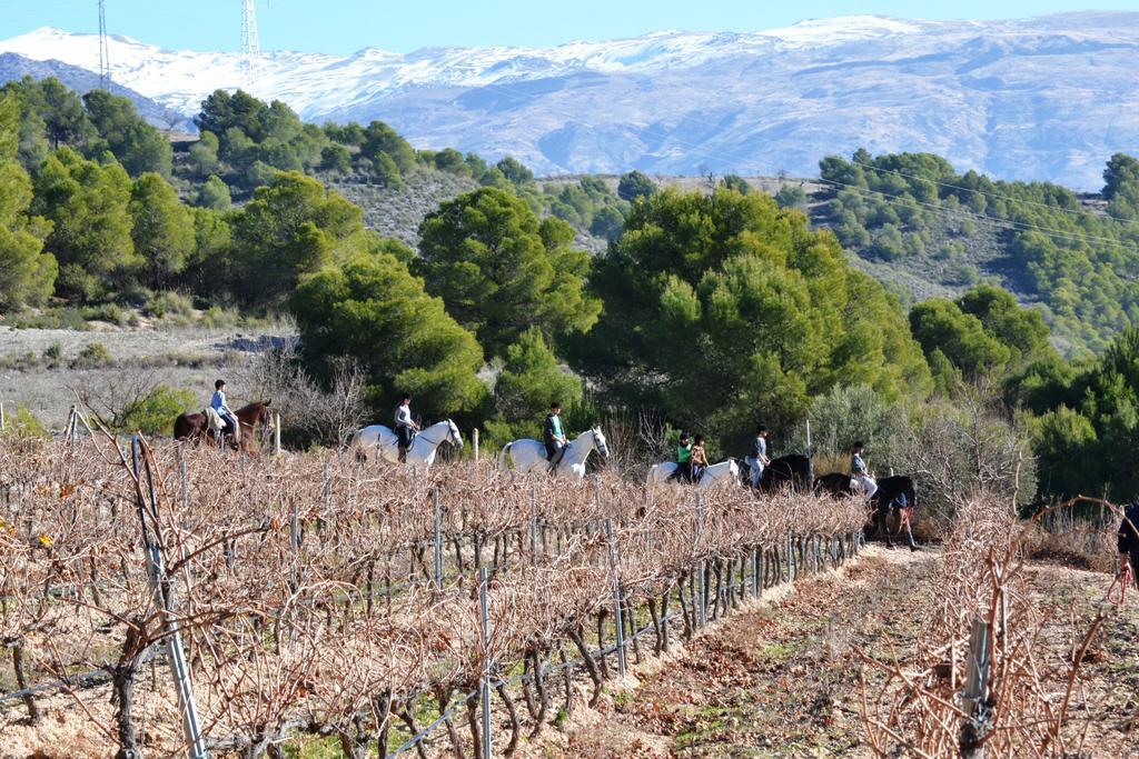 Hotel & Winery Senorio De Nevada Villamena Buitenkant foto